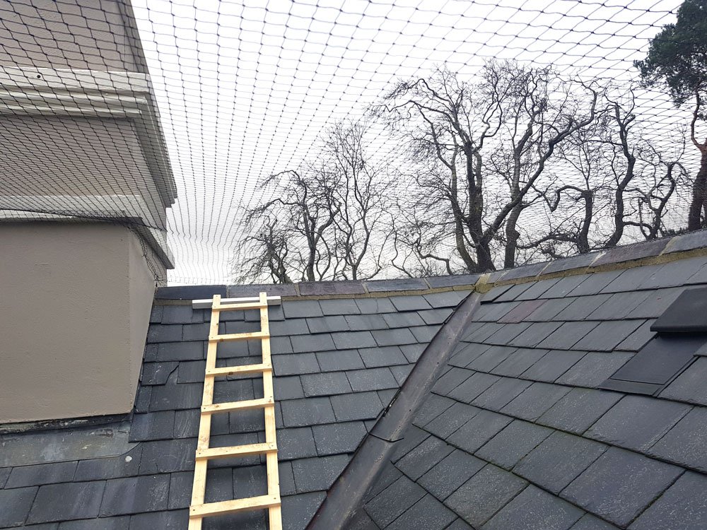 birdnettingIE's tweet photo. Crew working on another great #Birdnetting job in Wicklow. Netting to prevent #seagulls nesting in valley's also helps to stop leaves etc blocking water outlets #sistercompany #modernflyscreens https://t.co/2yzagKrk8F