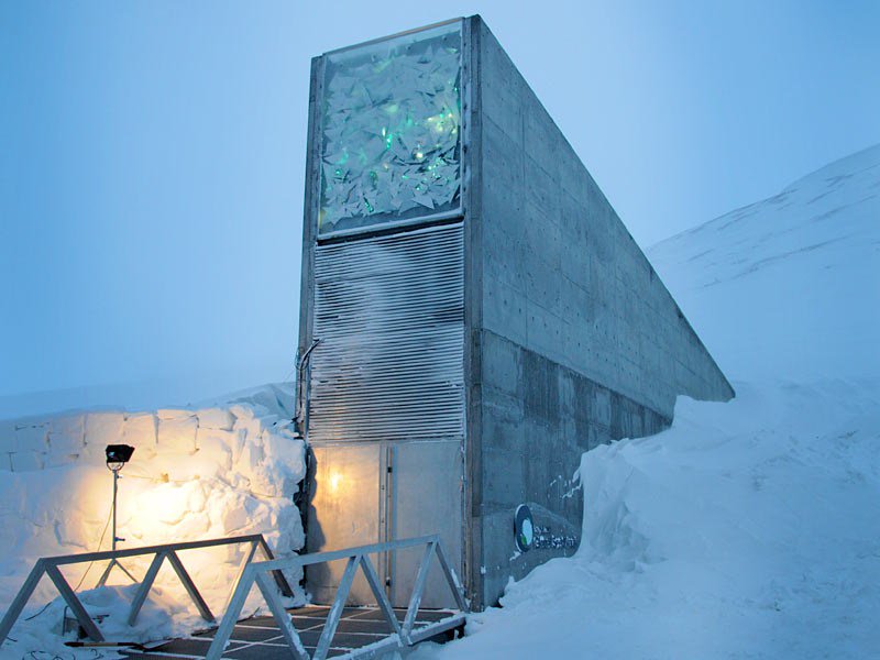 How we're protecting the future of food, one seed at a time: t.ted.com/CDV5hpq