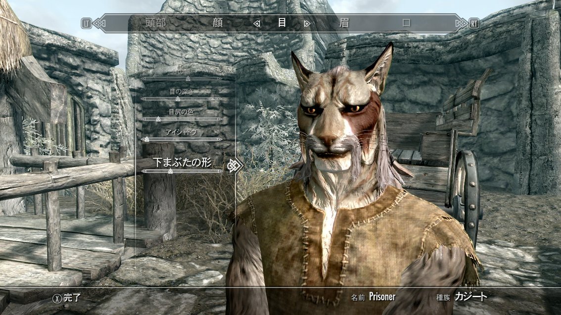 シャキタ S O ドドド على تويتر 去年とは状況が違うとはいえ考えを改めるのは Skyrim をやめるとお伝えした際にお声掛けくださった皆様に対して非常に申し訳ないうえに 自分の無考えを晒すという恥ずかしさもありました 続きます