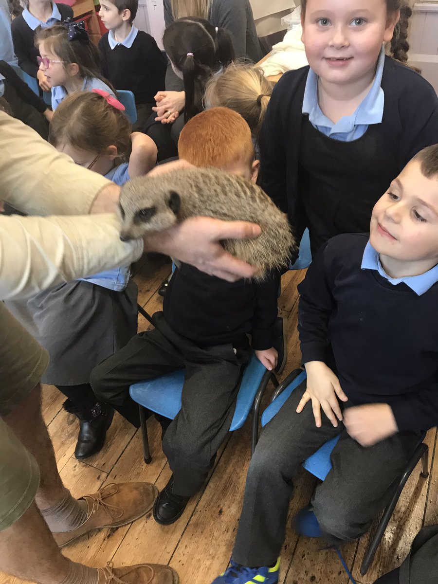 darrenlas's tweet photo. Dosbarth 1 welcomed some visitors from @aandsanimals into our class this afternoon. We were all enthralled and met animals we had never heard of before. We had a brilliant time. #immersiondays #clawspawsandwhiskers https://t.co/fBJrMcPVYo