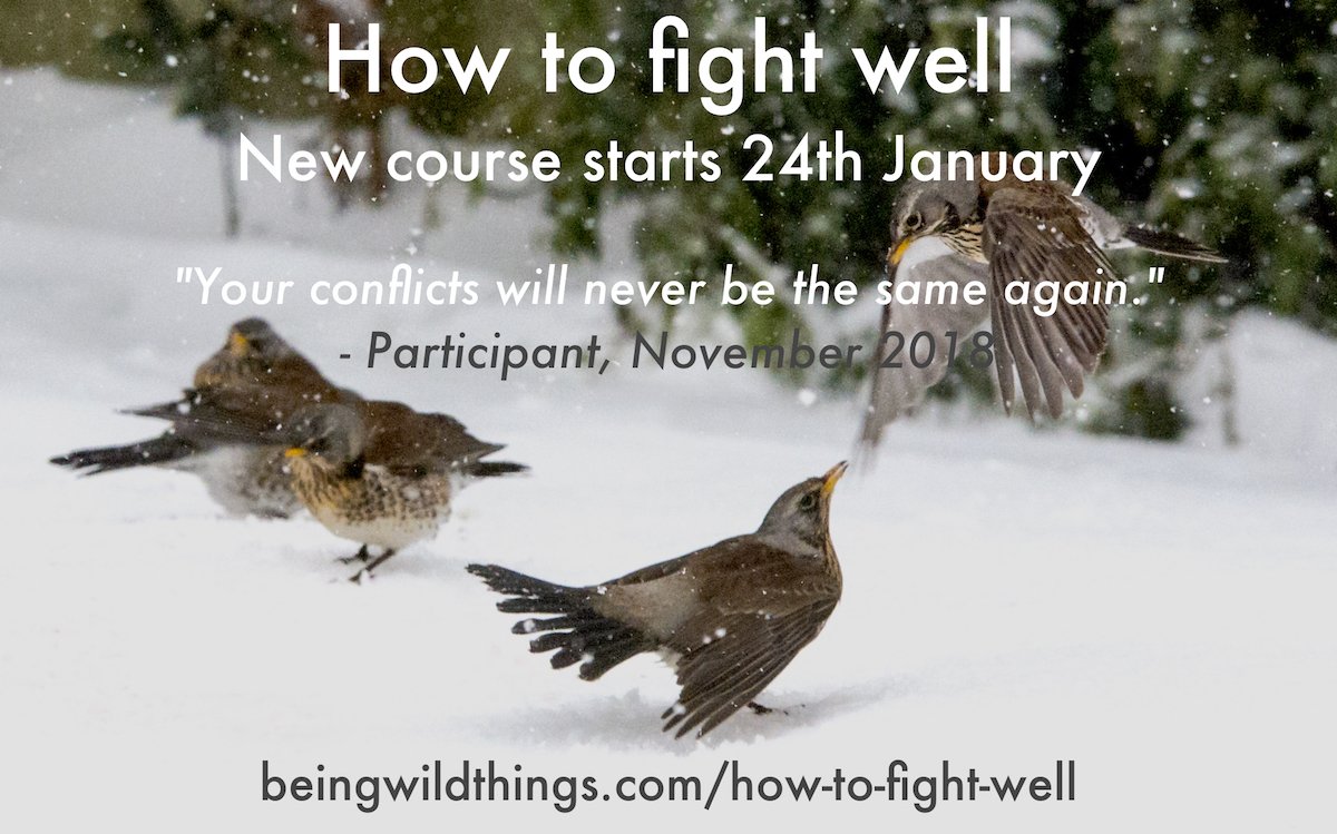 Would you like to transform your relationship with conflict this year? 'How to fight well' starts again on 24th January and there are still a few places left.

Find out more: beingwildthings.com/how-to-fight-w…