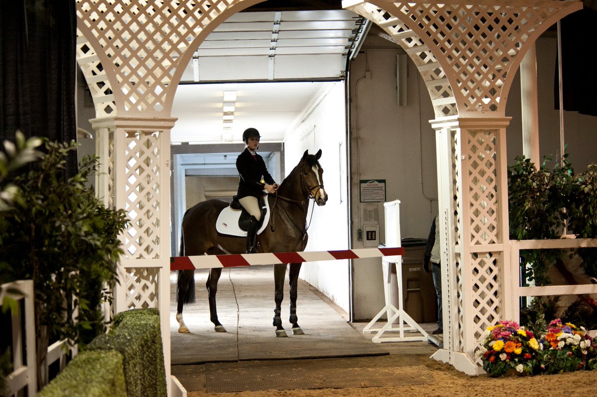 Spruce_Meadows's tweet photo. 10 days left to get your entries in for the Feb Classic I &amp; II, Due Jan18. Entry forms &amp; prize lists can be found here https://t.co/7UAO8s8prT -Don't forget to call to confirm your entry was received!
 #SpruceMeadows
 #2019Tournaments
 #IndoorJumping
 #Jumpingto2019
 #ShowJumping https://t.co/LblLmQiquM