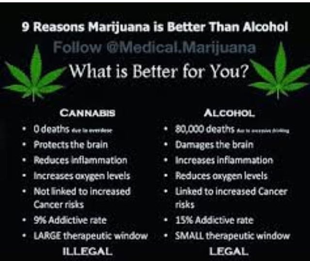 social_weed's tweet photo. https://t.co/NucsqsLceZ  add a pic or video and see how you rank on our new feature hot or not!

#love #instagood #photoftheday #fashion #beautiful #happy #cute #tbt #likeforfollow #followme #picoftheday #follow #me #selfie #instagood #instadaily #friends #repost #girl #fun #st… https://t.co/9GvX0EYUyS
