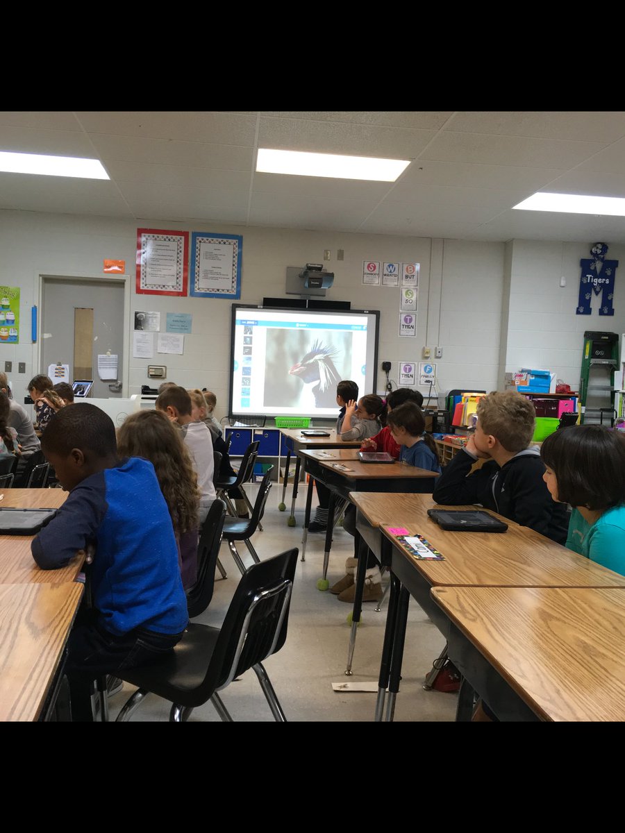 originaleagle93's tweet image. Learning about penguins with nearpod #penguinfun #weloveipads @crosswindeagles @originaleagle93