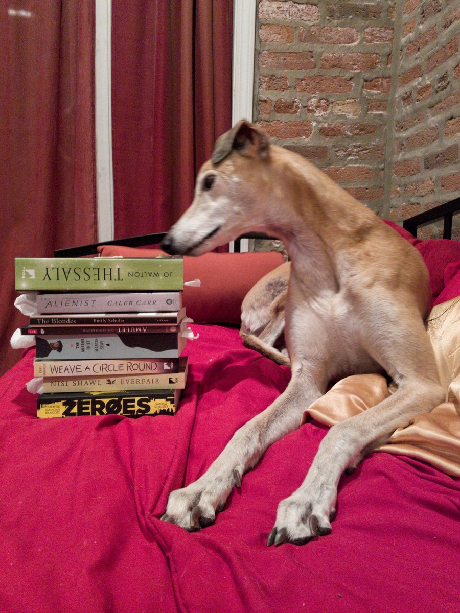 og_side_eye_cyd's tweet photo. @SubPress @KatWithSword Magic is…interested in books
#picsofmeowsandbarks https://t.co/0Z7HocClsA