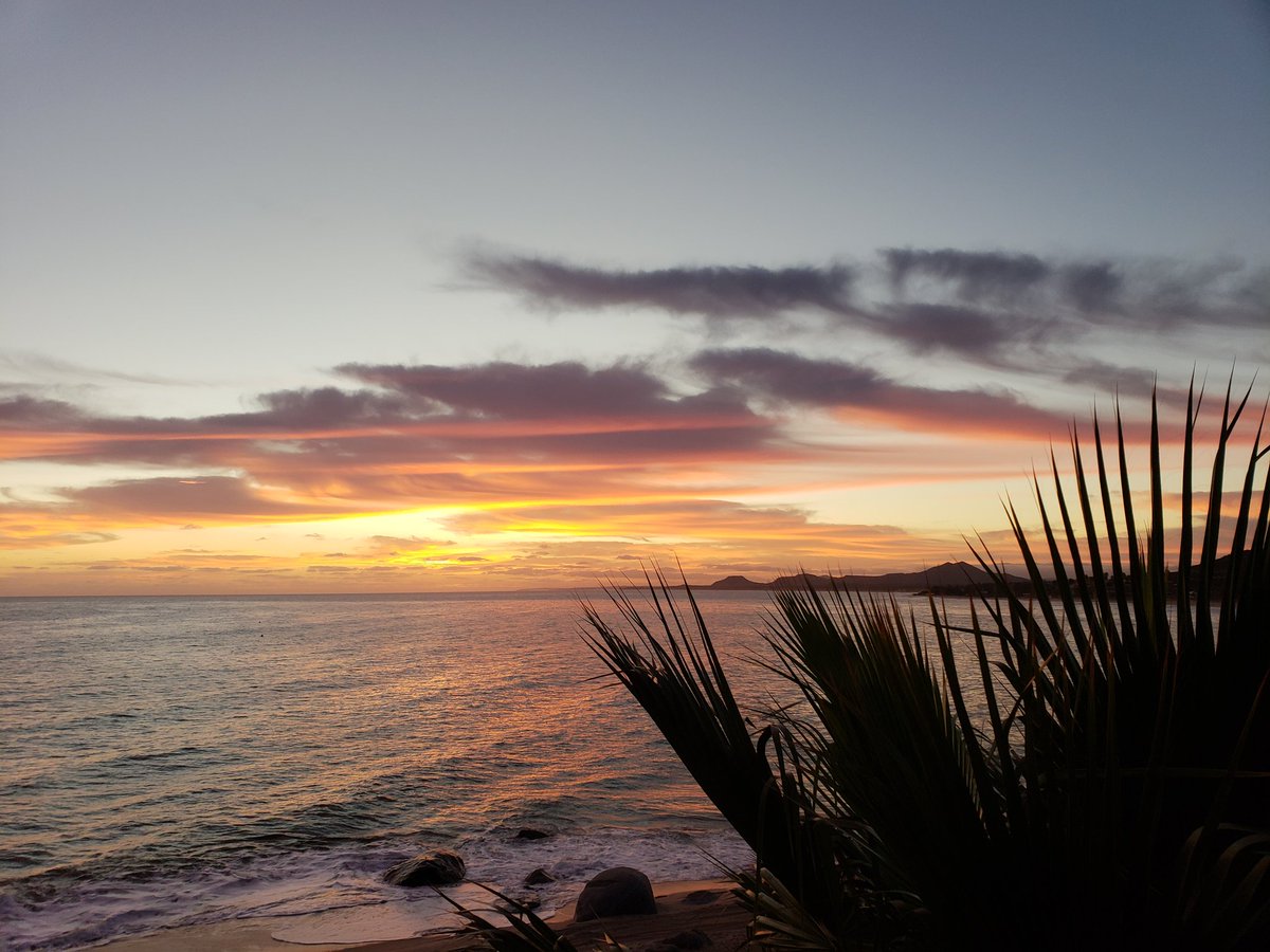 SofiaRosinsky's tweet photo. These mornings! What a beautiful place. #losbarrilles #californiadelsur https://t.co/R8nHI8YUFZ