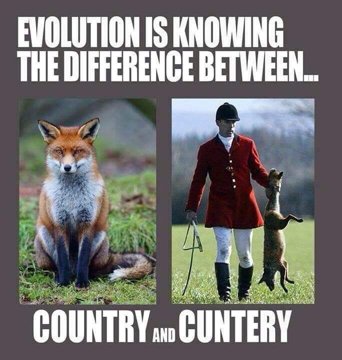 TheDevillion666's tweet photo. The only way Fox Hunting would count as vermin control is if the posh twats fell off their horses and broke their necks. #KeepTheBan https://t.co/HoVz3Ly7Nb
