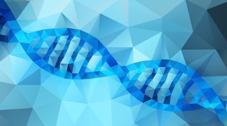 IliadFRATtest's tweet photo. Association between low folate status and mitochondrial #DNA (mtDNA) instability, and cerebral folate deficiency is relatively frequent in #mitochondrialdisorders. 
Reference: Ormazabal A et al. Drug Discov Today. 2015 Nov;20(11):1349-54 https://t.co/RQotI18Svo