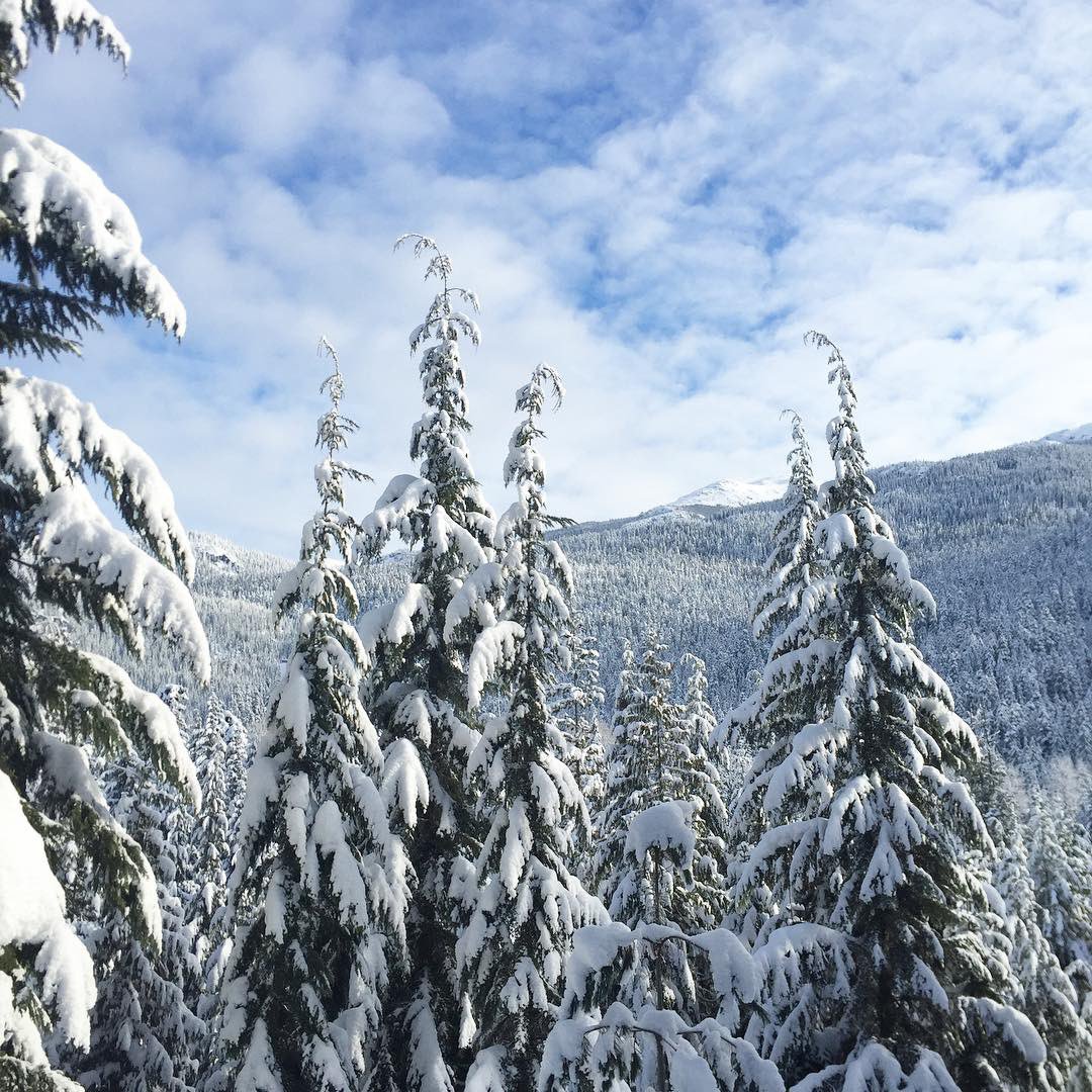 SlaterVecchio's tweet photo. Since ski season is upon us, it is important to remind ourselves of some simple safety tips, while navigating our local mountains. Check out our recent Instagram post on how to avoid injury and prevent accidents on the slopes!🎿⛷#skiseason #skisafetyfirst #SlaterVecchio https://t.co/sth6QOVRDT