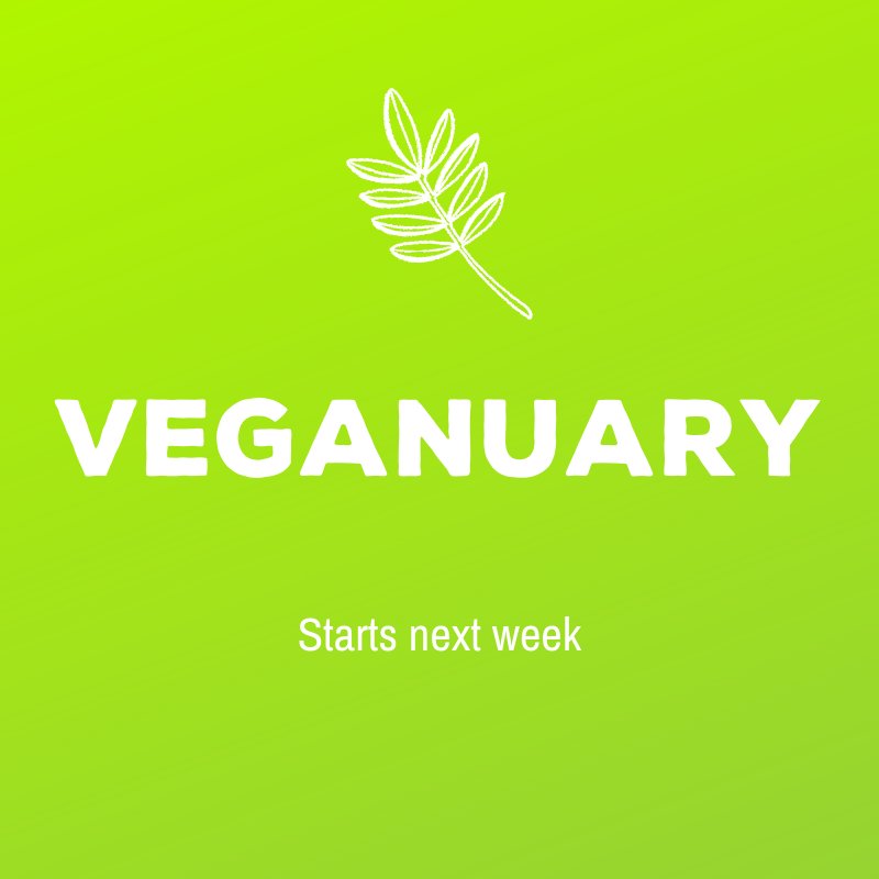 Did you know for of our condiments are #vegan? 
We got there before Greggs sweetie! 😉
That's why we're celebrating #VEGANUARY with lots of exciting new ways to use our vegan condiments.
The recipes will hit your #Sweetbeet screens next week