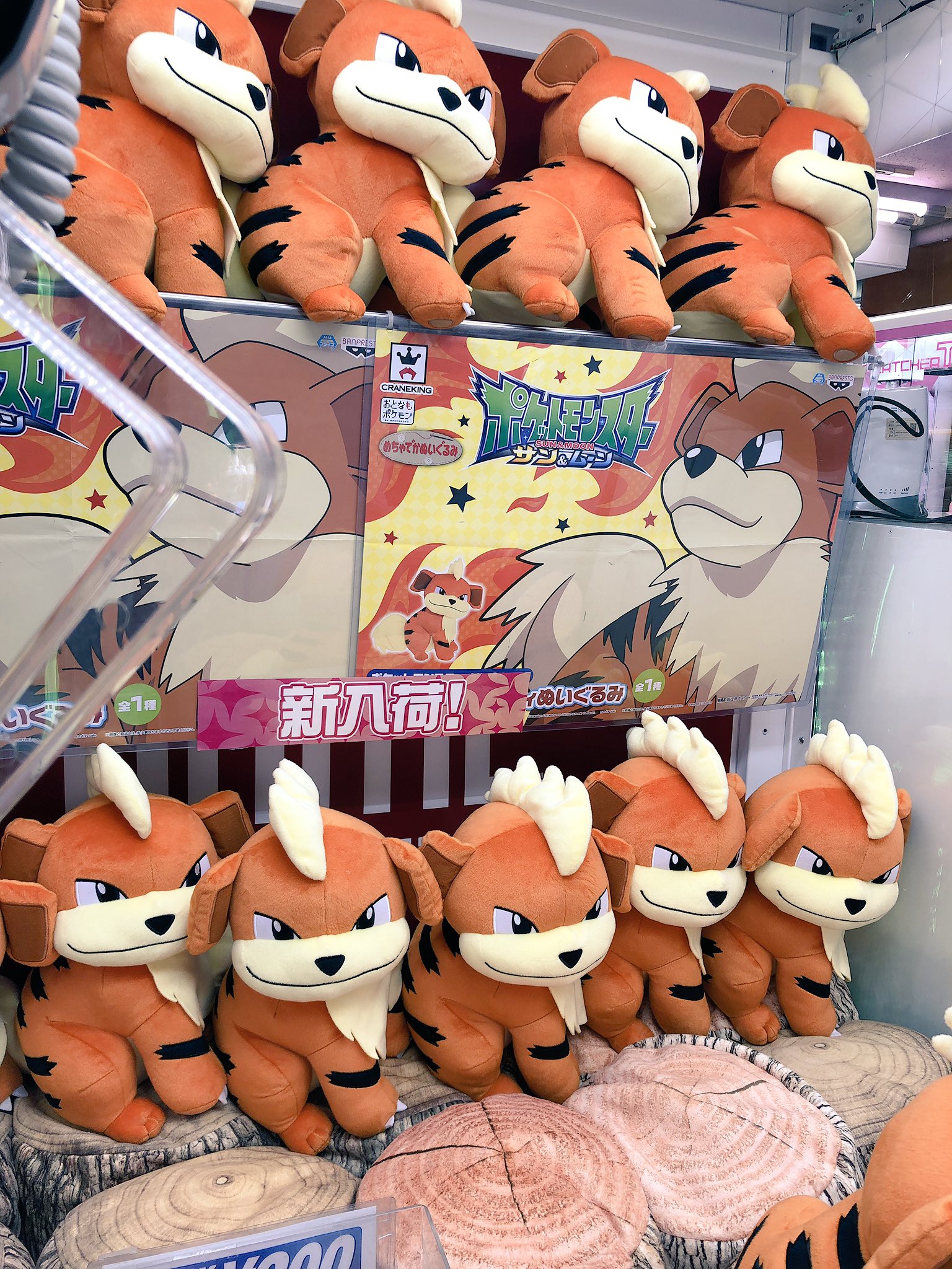 Twitter 上的 秋葉原hey 9 14 飛翔鮫配信 プライズ 本日新入荷 ポケットモンスター サン ムーン めちゃでかガーディぬいぐるみ こいぬポケモン ガーディがぬいぐるみになってコトブキヤさん側1階に登場です 凛々しさより愛嬌のあるお顔ですね 秋葉原