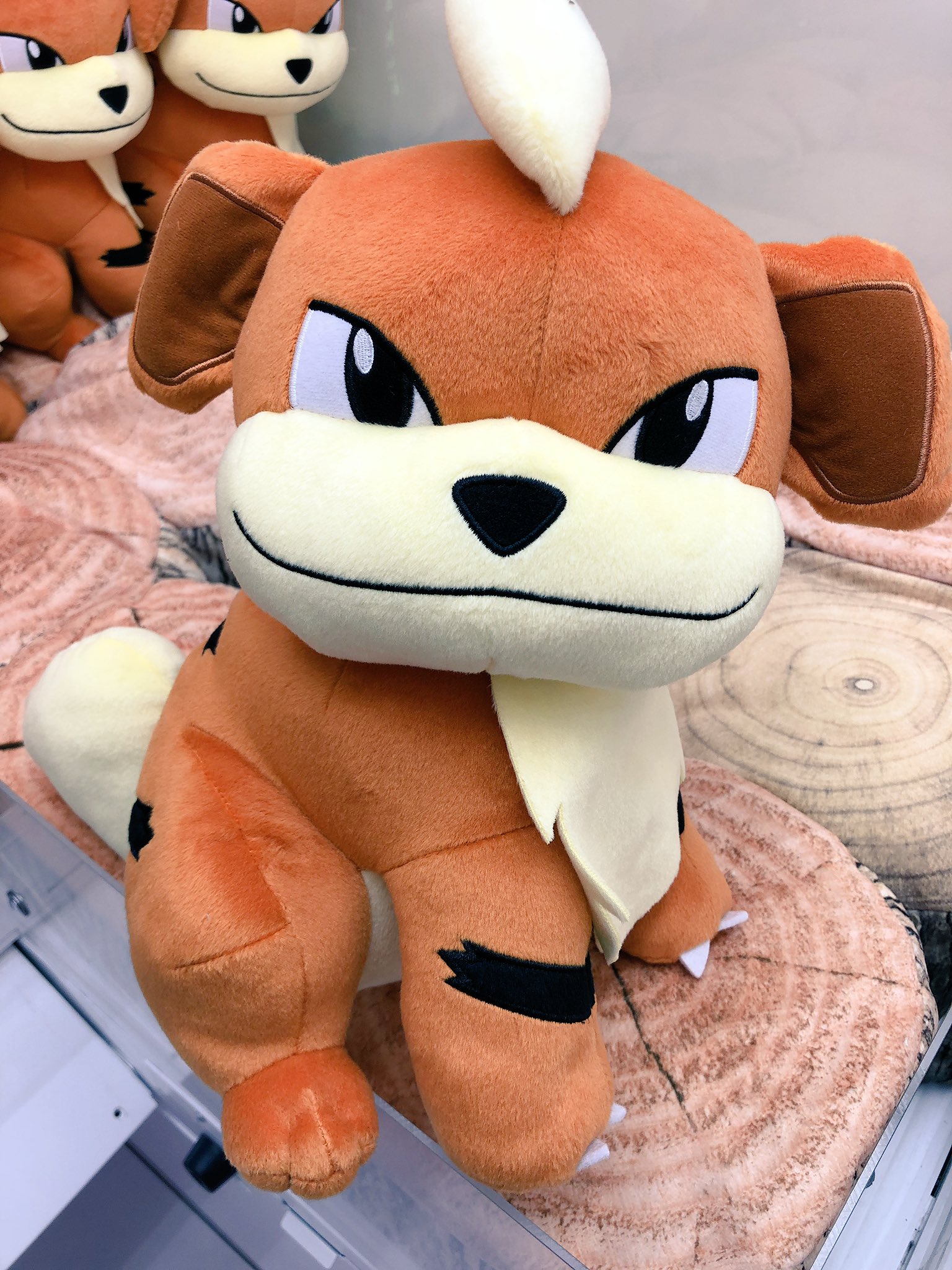 秋 葉 原 Hey Gccxコラボ中 プライズ 本日新入荷 ポケットモンスター サン ムーン めちゃでかガーディぬいぐるみ こいぬポケモン ガーディがぬいぐるみになってコトブキヤさん側1階に登場です 凛々しさより愛嬌のあるお顔ですね 秋葉原hey
