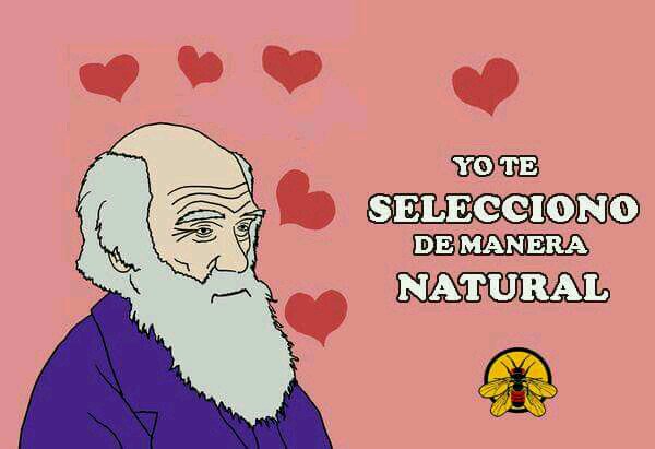 bioloenfurecida's tweet photo. Yo te selecciono de manera natural #Bioamor https://t.co/CdSNJaXRbS