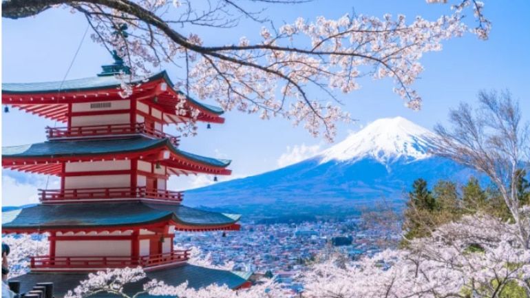 Rolo Travel tweet media