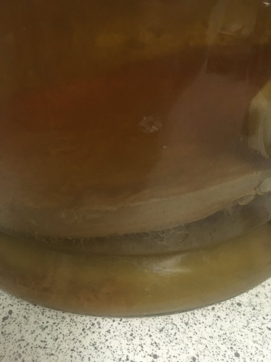 SteepedInTea's tweet photo. Happy #NationalBoochDay https://t.co/KPO9Blm5tk