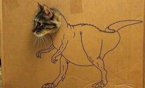 Jennifer Rees tweet media