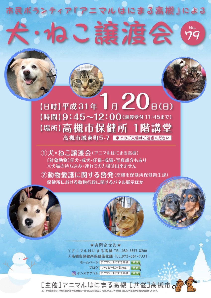 ごんた動物病院 大阪府高槻市 Twitter પર 19年 1月日 日 犬 ねこ譲渡会 No 79 アニマルはにまる高槻 保健所 高槻市 犬猫譲渡 T Co Moxj3n1ihk