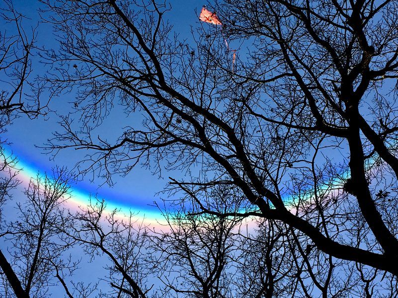 David Lamberti caught this circumzenithal arc on January 6. "It was a beautiful day in southeast Michigan. I looked up, and there it was, a beautiful circumzenithal arc. It was enormous, and the colors were very deep. It faded within 5 minutes." Read more http://bit.ly/2TQgafU