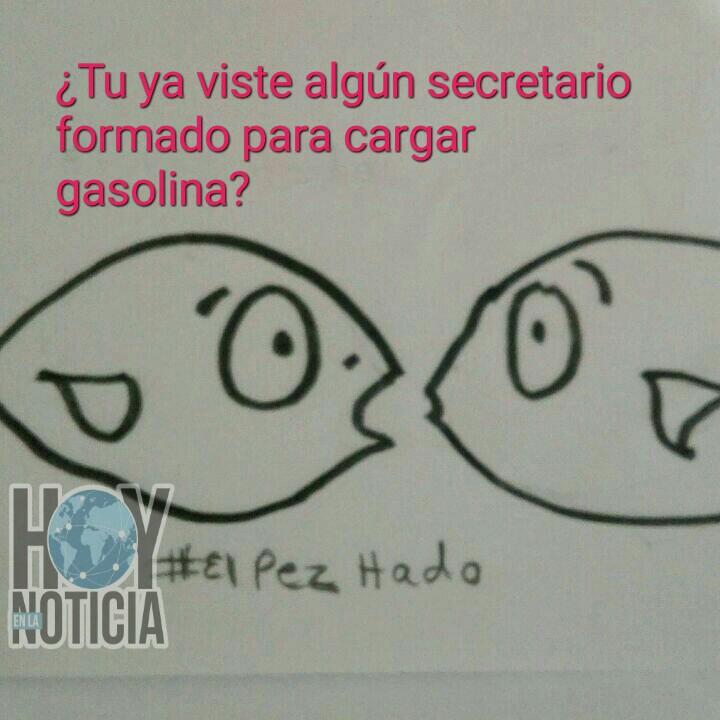 HoyEn_LaNoticia's tweet image. #Elpez...hado