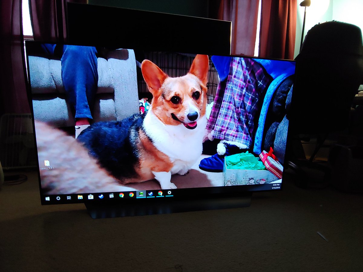 DarlaTheCorgi's tweet photo. 65 INCH LG 4K OLED TV CORGI https://t.co/kneujp3stf