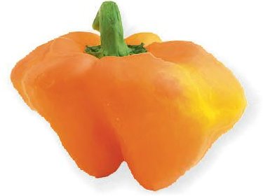TerrorizingV's tweet photo. @Its_not_a_me @FitzSalad @RadishSouls @TobyontheTele Im probably the slowest one out of all the misfit fruit and veggie terrorists https://t.co/sLmIFl5ZMp