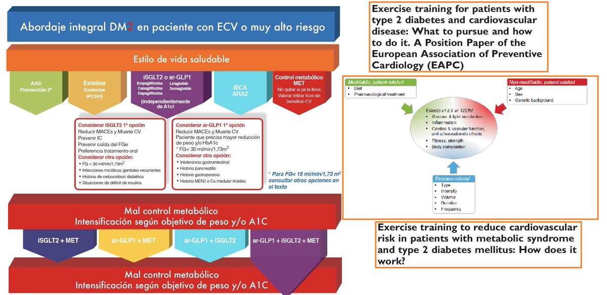 #exercisetraining as #firststep in #cardiovascular #prevention & #management of #type2diabetes. #EAPC_ESC #positionpaper: bit.ly/2MaJATd 
Ampliamos escalón #estilodevida #nuevaeraDM2 #lifestyle #moveyourheart #exercisematters #getactive #T2DM #cardionews #CardioTwitter