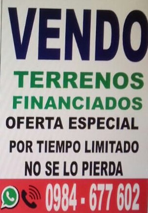 ColmanSusy's tweet image. 