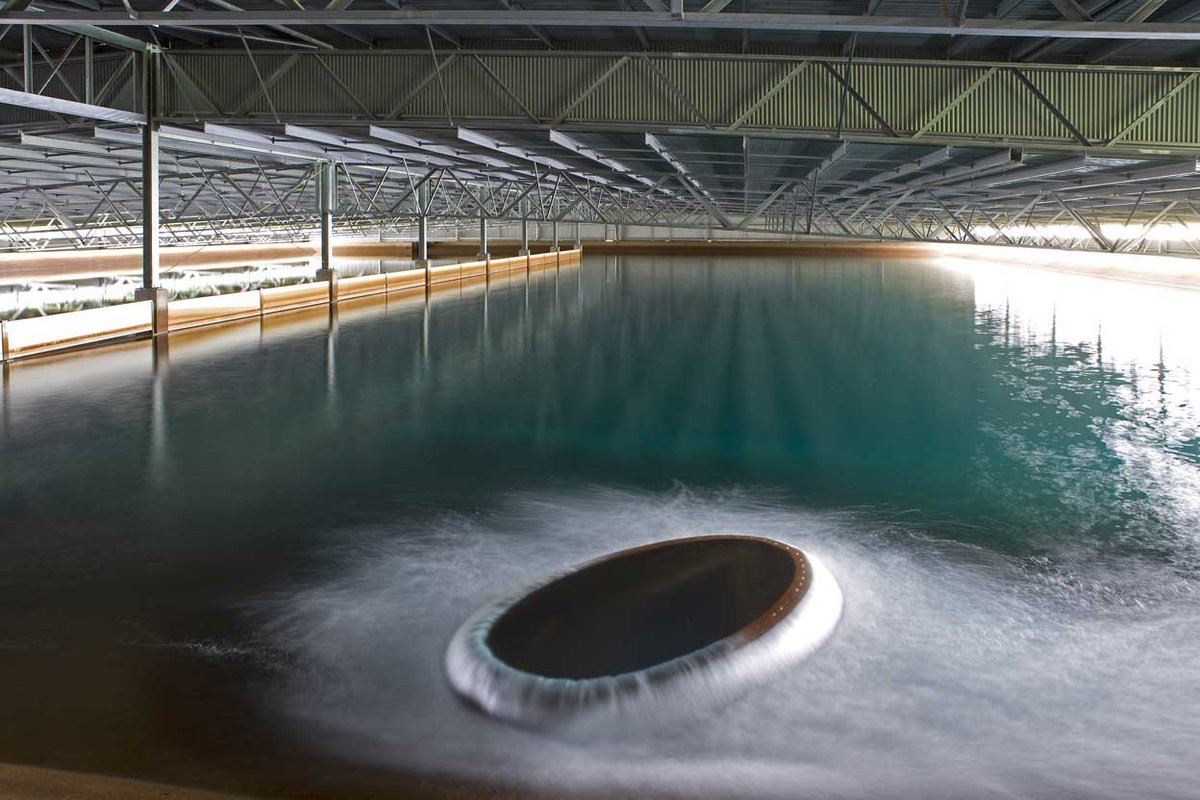 NorthEastWater's tweet photo. Glug, glug, glug! #Wodonga customers used 50,000,000 litres of water yesterday with our treatment plant pumping out 600 litres per second. For tips on how to save water during the #heatwave visit https://t.co/C2tECgnvta #TYWU https://t.co/sHqap8MnCI
