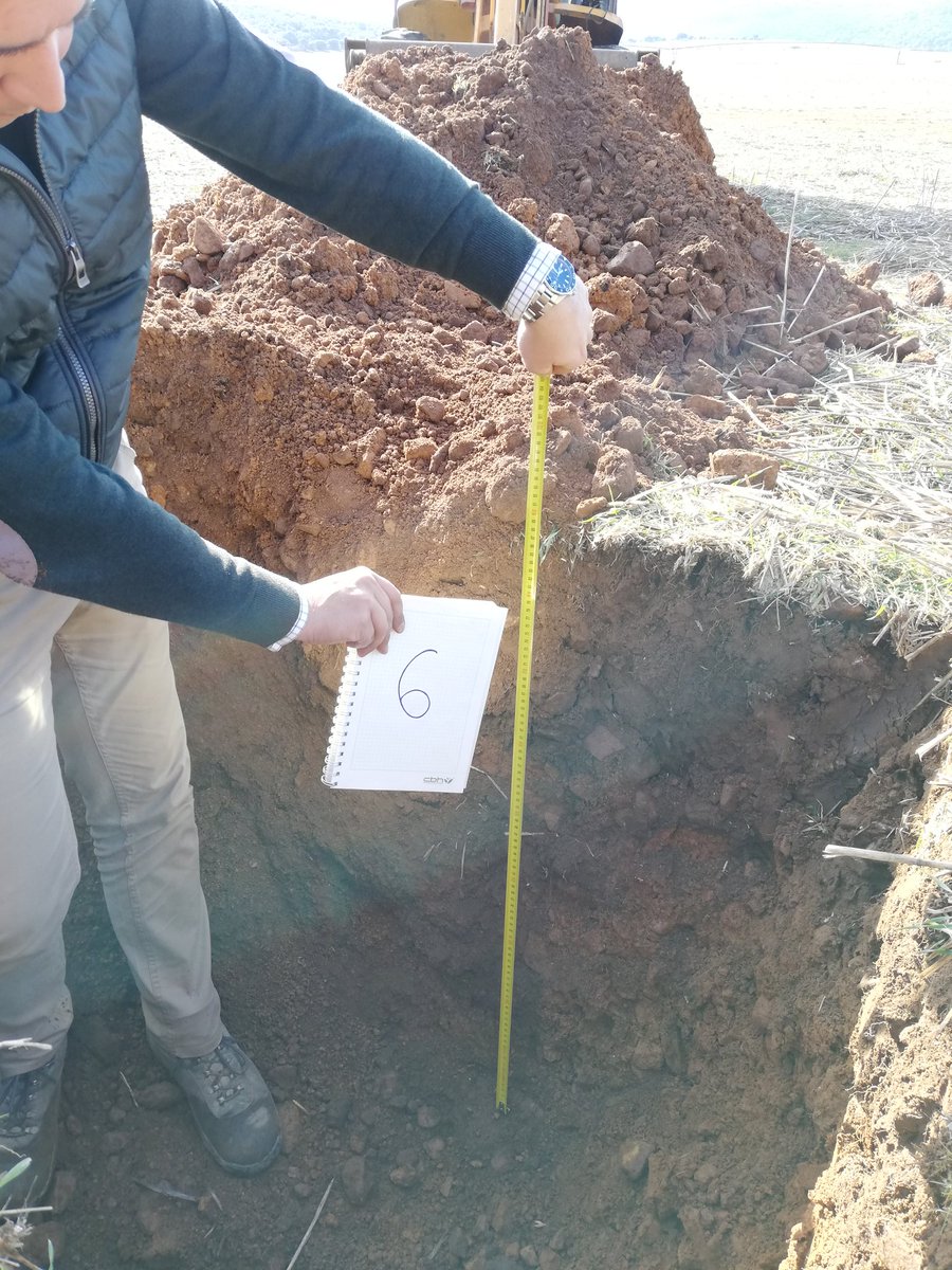 AndresSalvador1's tweet photo. Invertimos miles de €/ha y muchas veces no nos preguntamos que hay bajo la superficie del terreno donde se van a desarrollar nuestras plantaciones. No hay nada más fácil y barato, de calicatas ha ido hoy la cosa. Primer paso clave antes de transformar una finca. https://t.co/a82wuPXnkA