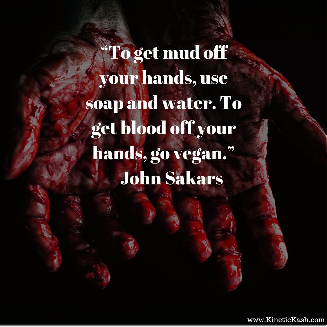 KineticKash's tweet photo. #Vegan #MudNotBlood #GoVegan #VeganFollowBack https://t.co/ChEipncpc0