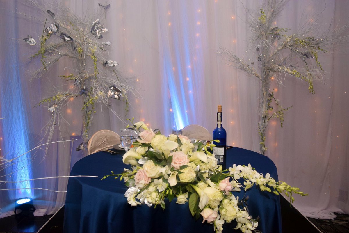 Landerhaven tweet media