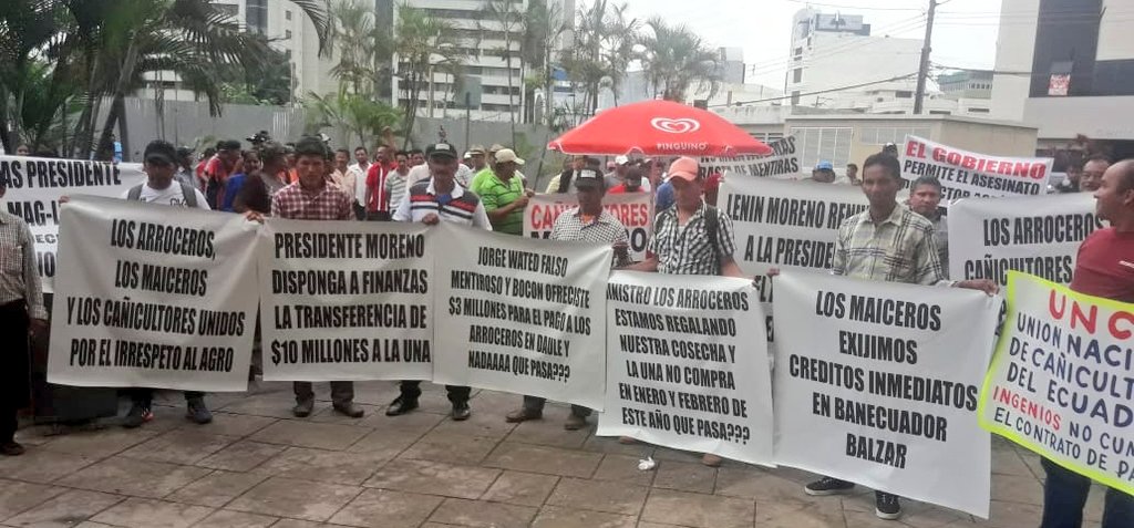 VeroGuevarav's tweet photo. El sector agropecuario está atravesando una de las peores crisis en el país.
Esta tarde arroceros, maiceros y cañicultores salieron a un plantón en los exteriores del Gobierno Zonal exigiendo el pago de sus producciones. https://t.co/wz1ziNrn2h