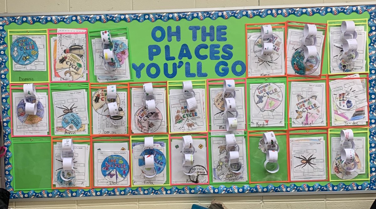 Mermaid2Teach's tweet photo. RQ5🌱🐜🕷🐸When you talk about a food web/chain, you make a chain! #EagletEntomologists are excited to finish researching & put together their final project!! 🐝🐜🐞🕷🦟🦋#watchUSsoar #PawtucketInspires #learningin3D #HardWorkPaysOff @Baldwin_School @MO_books4all @CarneyLiteracy https://t.co/kpSHDyf0pd