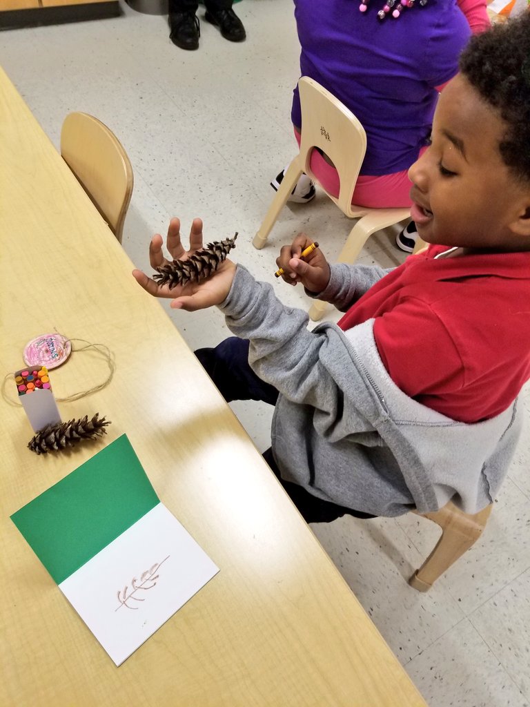 sandramohrmnps's tweet photo. Had a great time with Ms Debbie during our first Wildlife Enrichment of 2019! @ExtLearningMNPS https://t.co/ZSNtZOXbyg