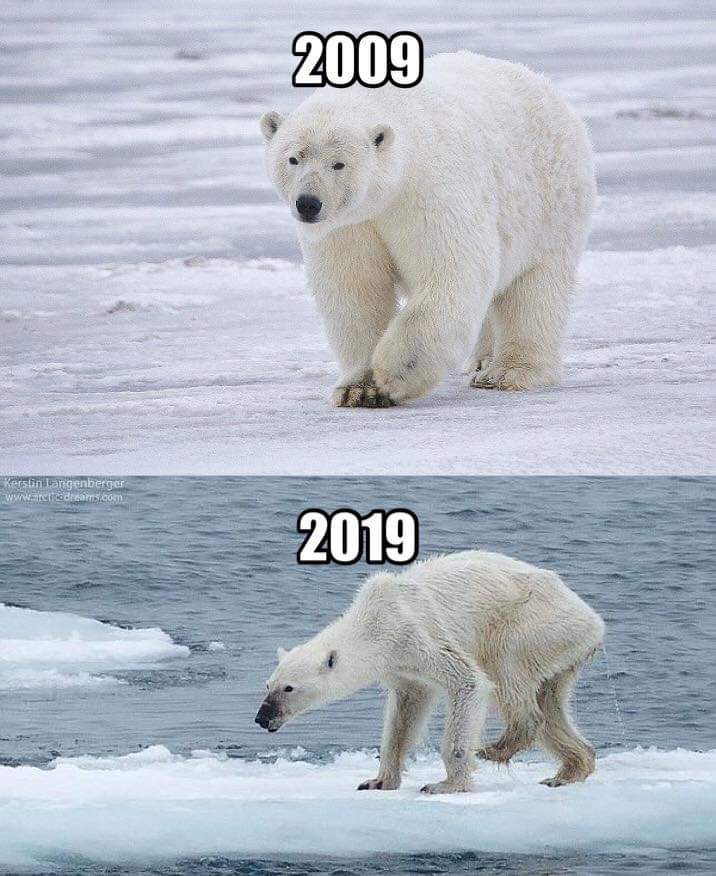 SolNakaya's tweet photo. #10YearsChallenge https://t.co/EaDfTdA2Kk