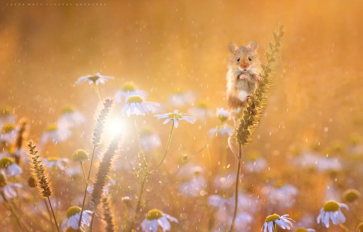 인생은

'욱'하는 성질 때문에

'막'하는 말 때문에

'확'하는 행동 때문에

손해볼 일이 많습니다