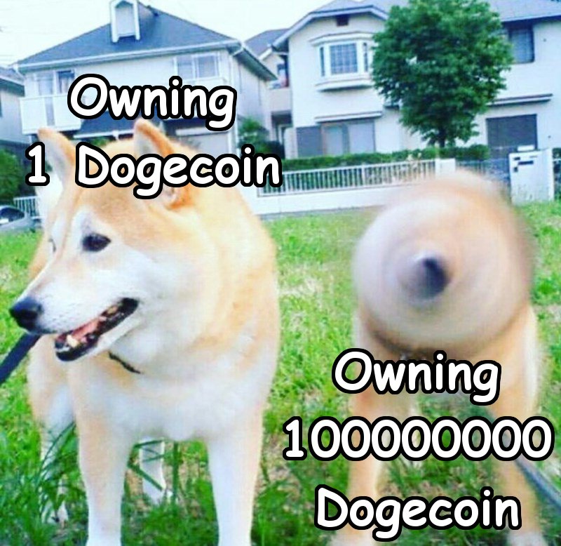 Dogecoin Memes On Twitter Dogecoin Memes Crypto Cryptocurrency Doge Tothemoon Wow Moonsoon Dogecoinmoon Hodl 1doge1doge Richshibes