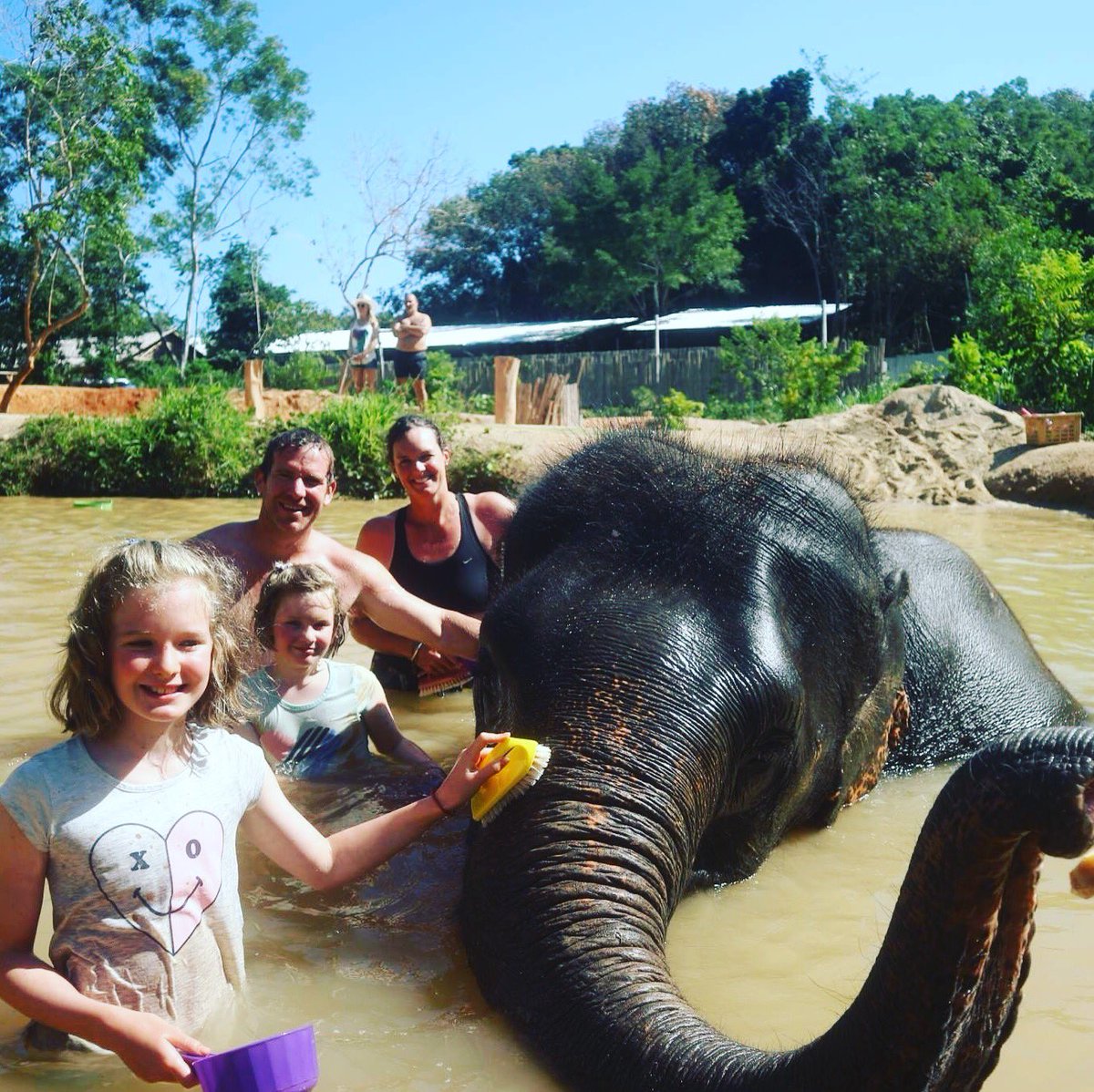 Back in Aotearoa after a great Thailand adventure. Midway through the girls even gave me a clean at a local pond. #ethicalelephantsanctuary