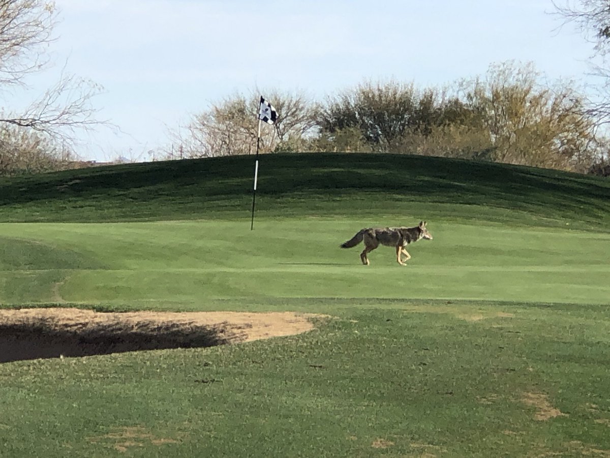 TorbeyTavern's tweet photo. Unplayable lie. He can keep it. https://t.co/LddPPOcUVS
