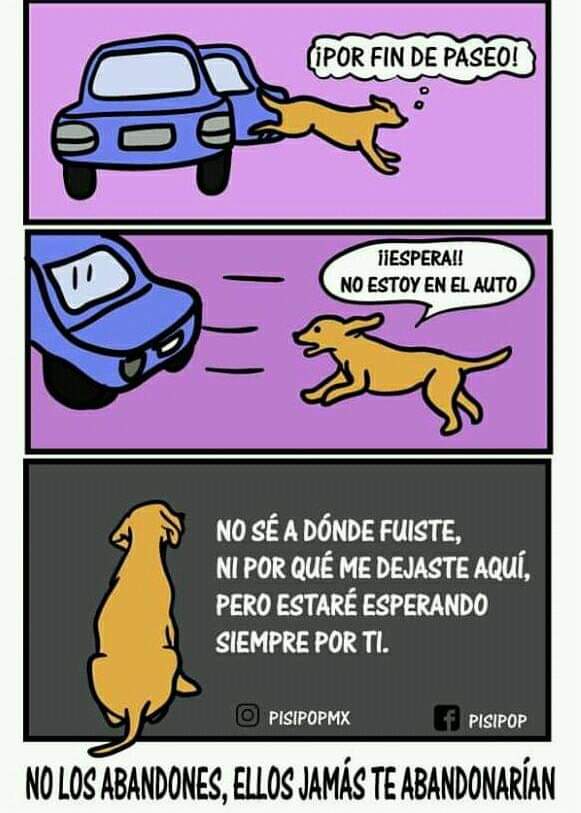 Carlos Melero (@carloscustomgt) on Twitter photo 