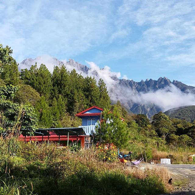 tsimgill's tweet photo. Perfect view  #tsimgill #igview #lokal #sabah #kundasang  @kkcity @sabahtourism #humpday🐫 https://t.co/soJTEGMBqv https://t.co/mgC89k6huE