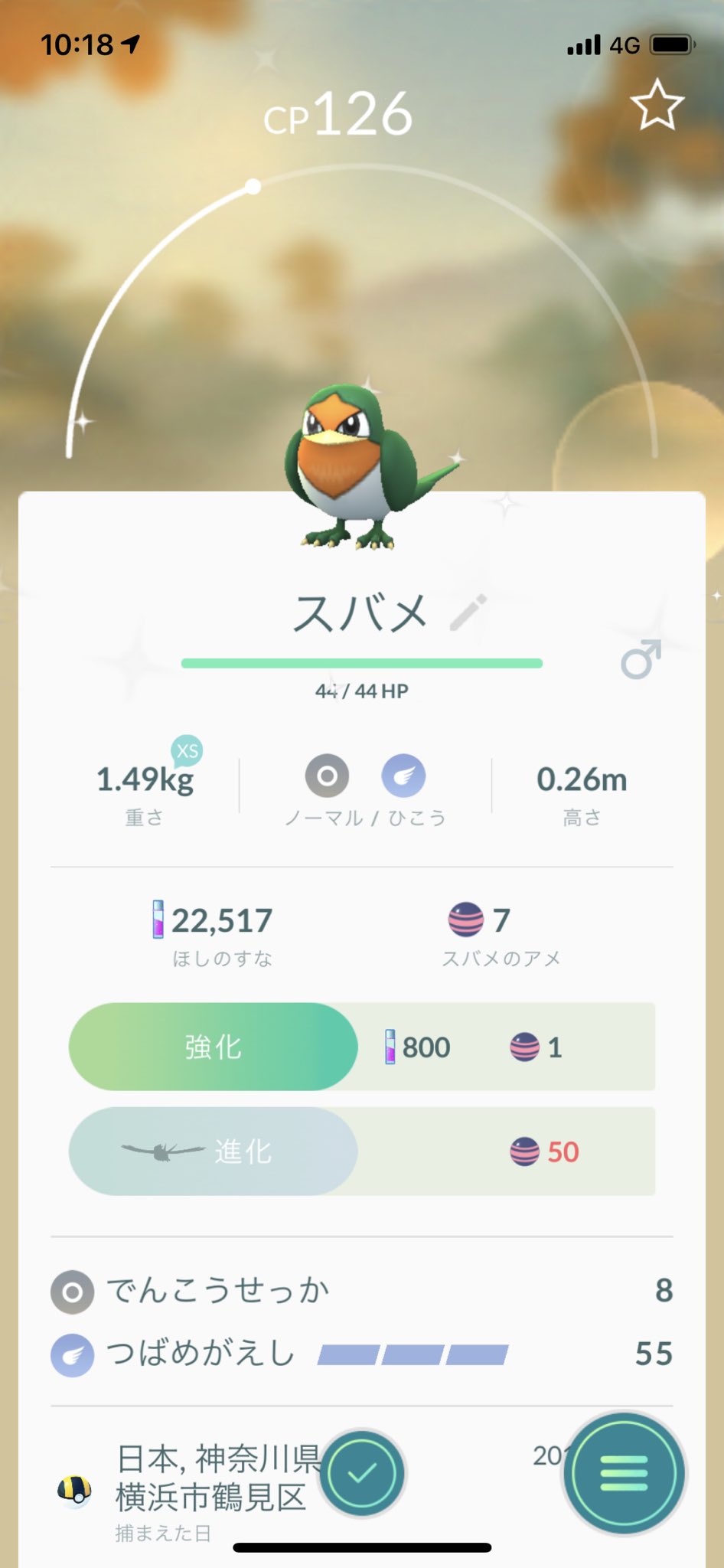 番犬 朝一番でタップしたスバメ 色違いでわろたww 初手でゲットあざーすwwww ポケモンgo スバメ 色違い T Co 240x3aevml Twitter