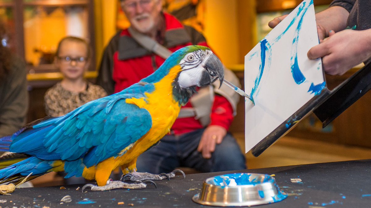 oregon_beers's tweet photo. Have dinner and drinks with friends while learning about wildlife at @OregonZoo 's February pub talk! WIN TICKETS to Pub Talk: Training Animals for Better Welfare w/ Animal Behavior Specialist Barbara Heidenreich -----> https://t.co/vYTsjsxAbt  https://t.co/7utT5vS25L