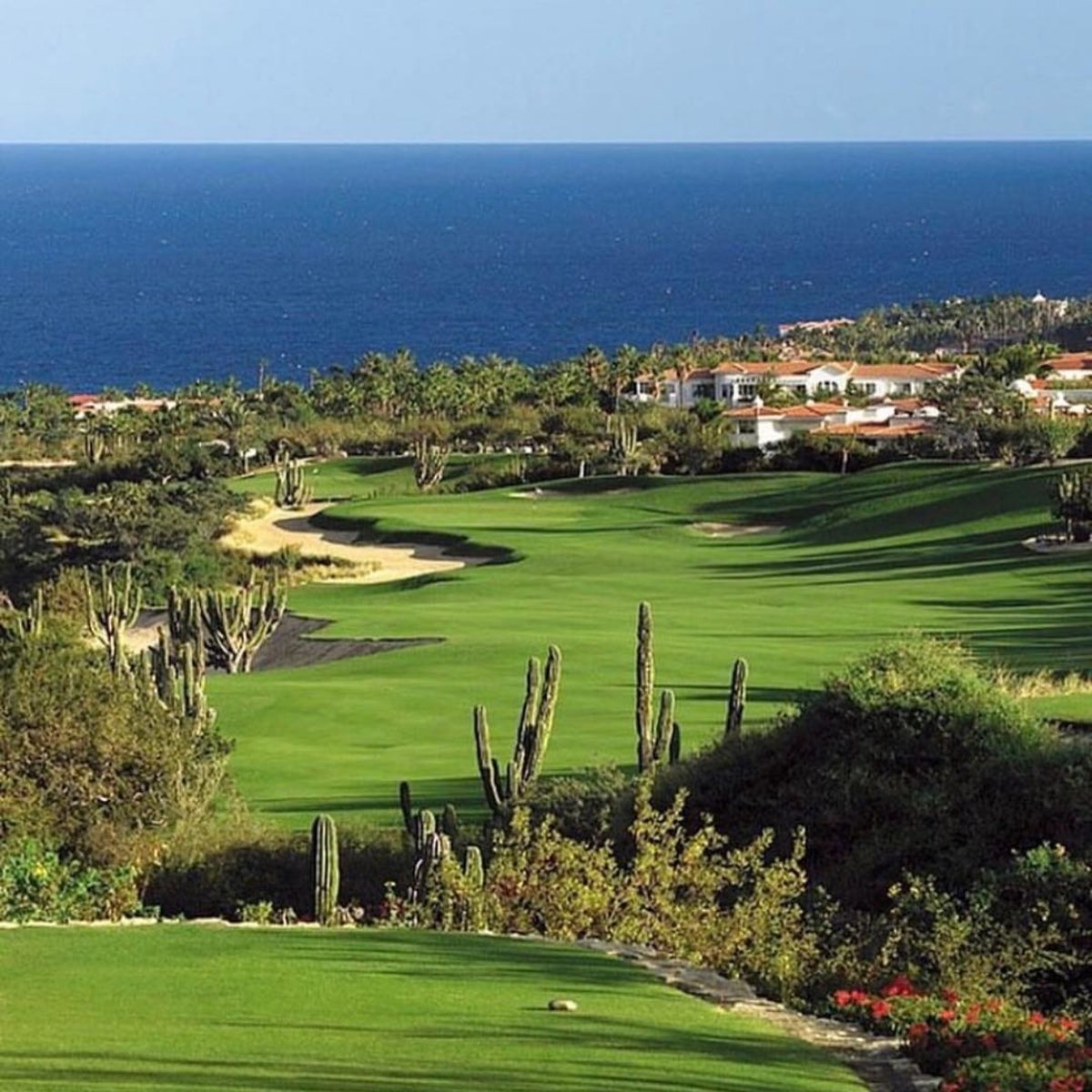 Palmilla Golf Club tweet media