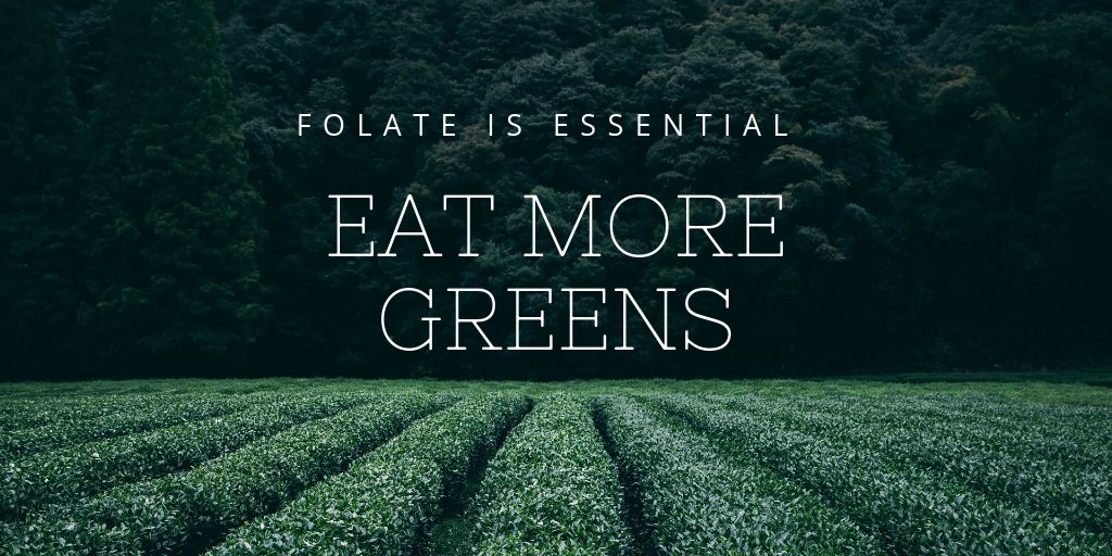 queenbfertility's tweet photo. #folate is essential for preconception and #pregnancy health. Note: #folicacid is NOT the same as folate. You can get folate from dark leafy greens: mustards, kale, spinach, collards, brocoli, and lentils. #natural #food #healthy #vitamins #supplements #ttc #tuesdaymotivation https://t.co/BxrvrtrpHy