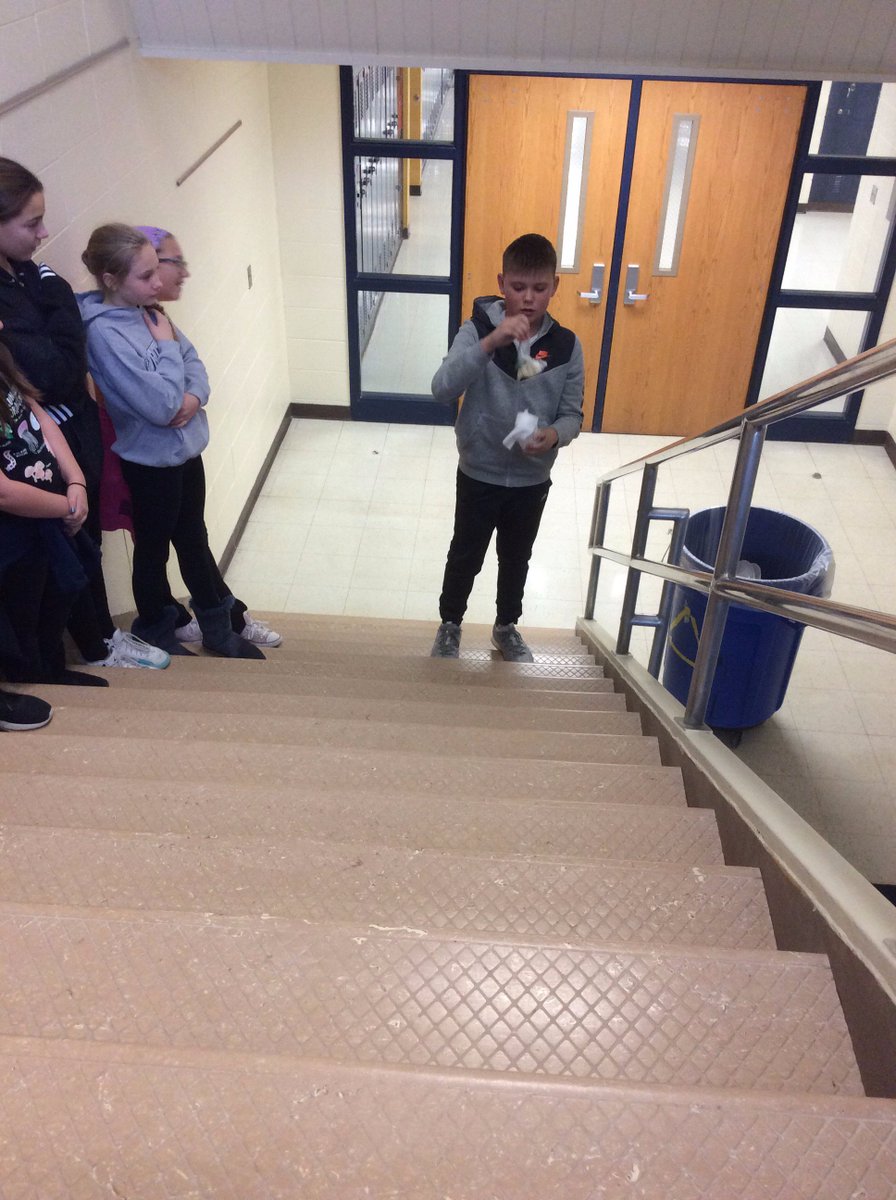 WMSpalexopoulos's tweet photo. 6th Grade Egg Drop STEM challenge.  Some successes, some failures -  a lot of learning! https://t.co/iZBP9TRA5R