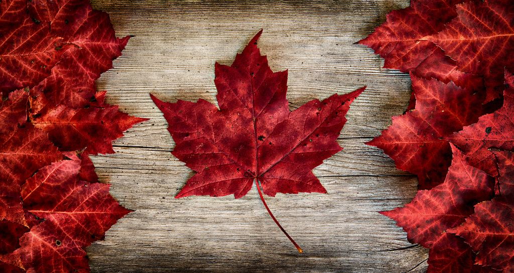 While traveling in western Canada, we hope you'll lodge with us! You'll always experience true Canadian hospitality here at the Kanata. 
Check availability for your next trip here: kanatainns.com