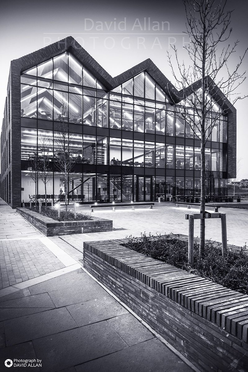 David Allan tweet media