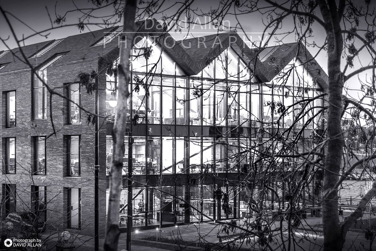 David Allan tweet media