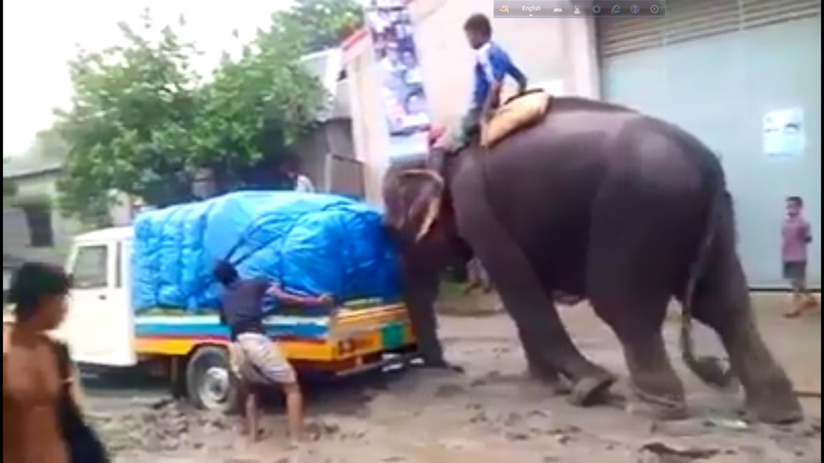 Newstorrent2_0's tweet photo. 😧OMG - #Elephant #Helping Car?📰📰📰📰 - kind of @animals
#animals_shots_ #animalstyle #animalsketch #animalselfieanimals_magic #animalsanctuary #animalsvideos #animals_captures #animalshelter
this elephant try to make out this truck
https://t.co/slSJ1g3PBH https://t.co/HNfhdjk1cS